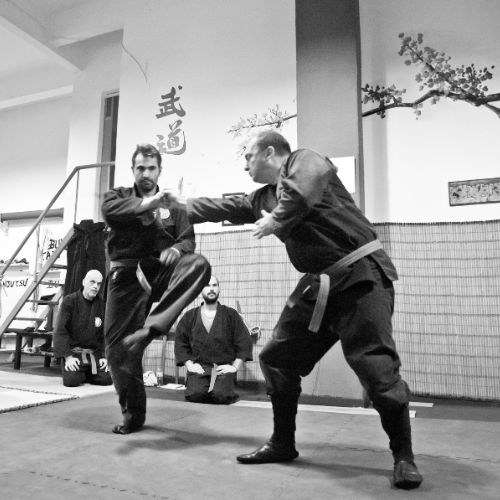 Φωτογραφία από το Nichigetsu Dojo