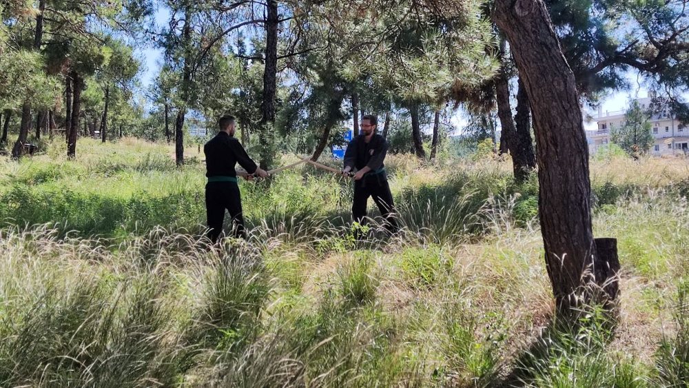 Στιγμιότυπο από σεμινάριο του Nichigetsu Dojo